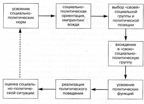 схема процесса политической социализации