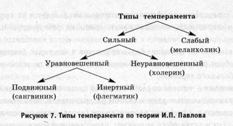 типы темпераметров по теории Павлова